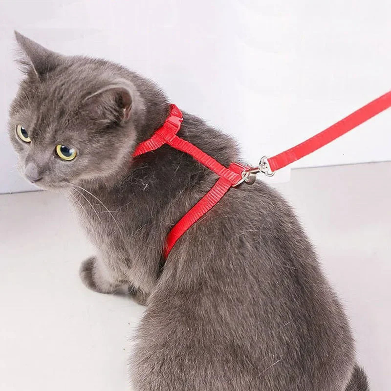 Lightweight Adjustable Cat Harness and Leash Set Escape Proof Kitten Strap Collar for Walking Travel Small Animals Puppy Harness 250326