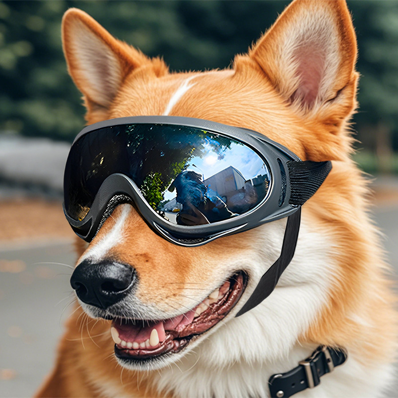Pet Protective Glasses Elastic Strap Adjustable Fit Large Dog Goggles Headwear Outdoor Windproof Sunglasses