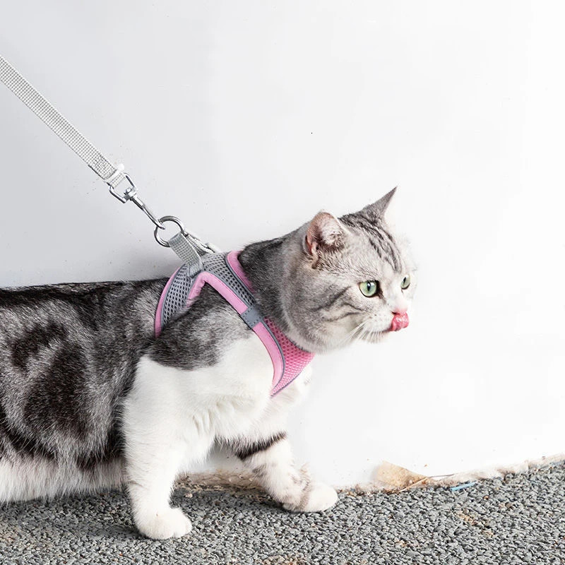 Cat Harness Leash Set Adjustable Dog Cat Collar for French Bulldog Harness Vest Puppy Chihuahua Pet Outdoor Walking Lead Leash 250326