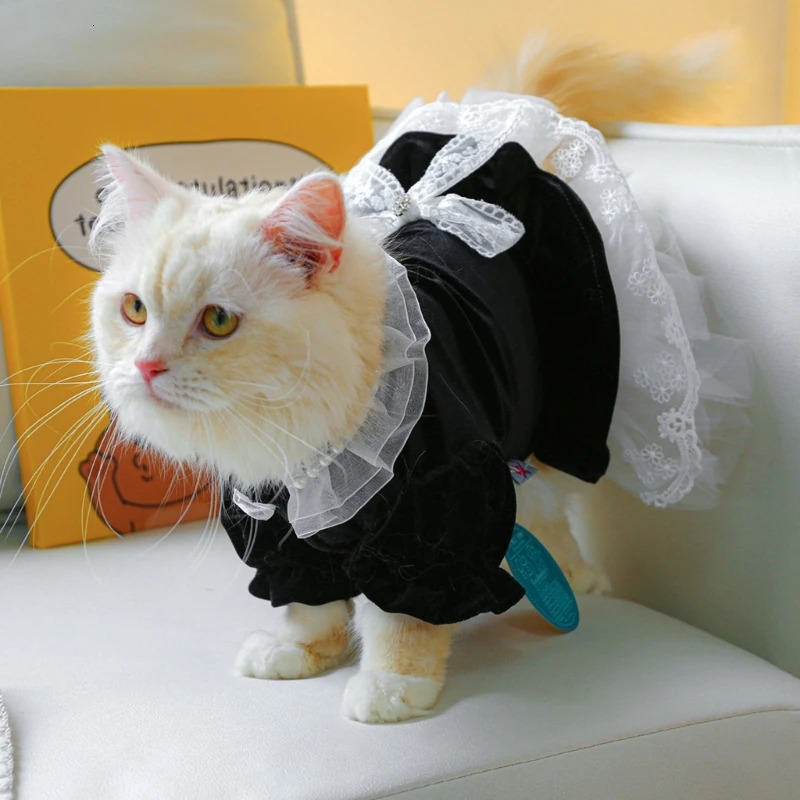 Cat Outfits for Cats Only Dog Clothes Lace Decors Dress Pet Costume Apparel Summer Clothing Accessory for Girl Drop 250326