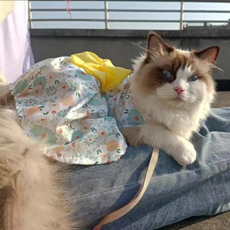 Fashion Cat Puppy Dresses with Bow for Small Dogs Cats Sphynx Chihuahua Fruit Flower Print Pet Clothes ropa para gatos sukienki 250326