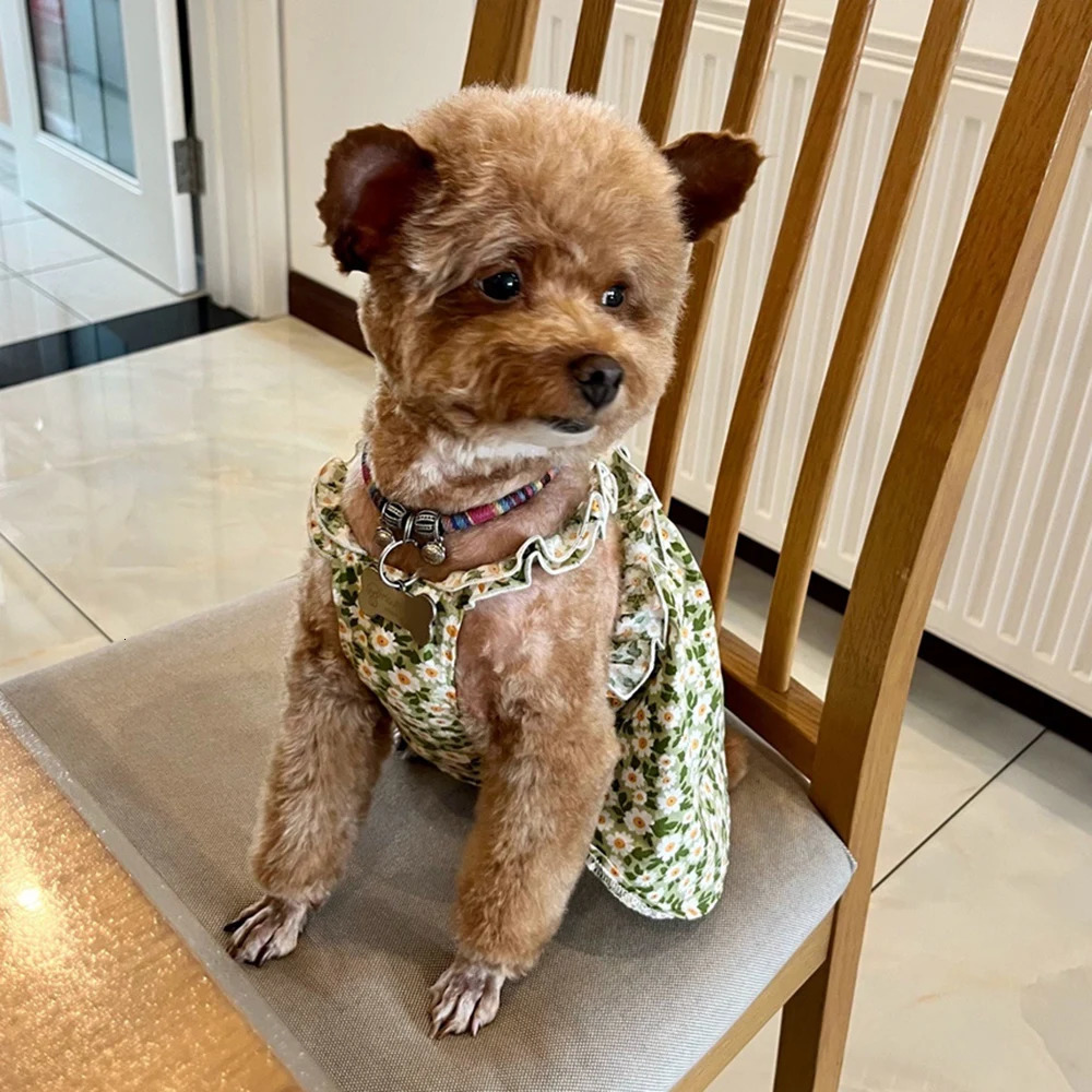 Cozy Cotton Cat Puppy Suspender Skirt Cool Summer Pet Dresses for Cats Small Dogs Kitten Sphynx Clothing Outfit ropa para gatos 250326