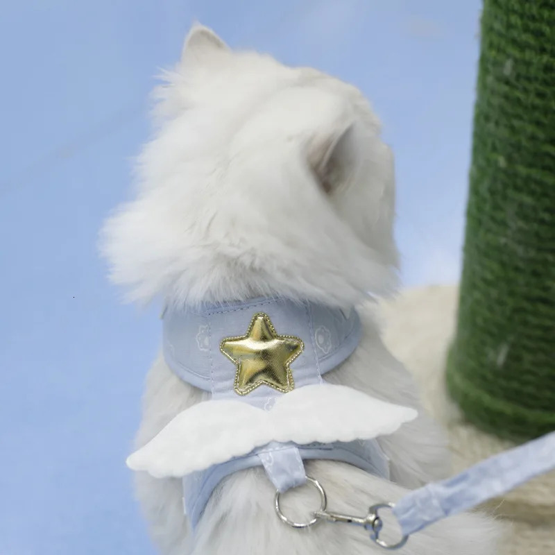 Cat Dog Harness Necklace Leash Collar Pet Items Accessories Kawaii Angel Wing Vest Harness For Dogs Cats Personalized Supplies 250326