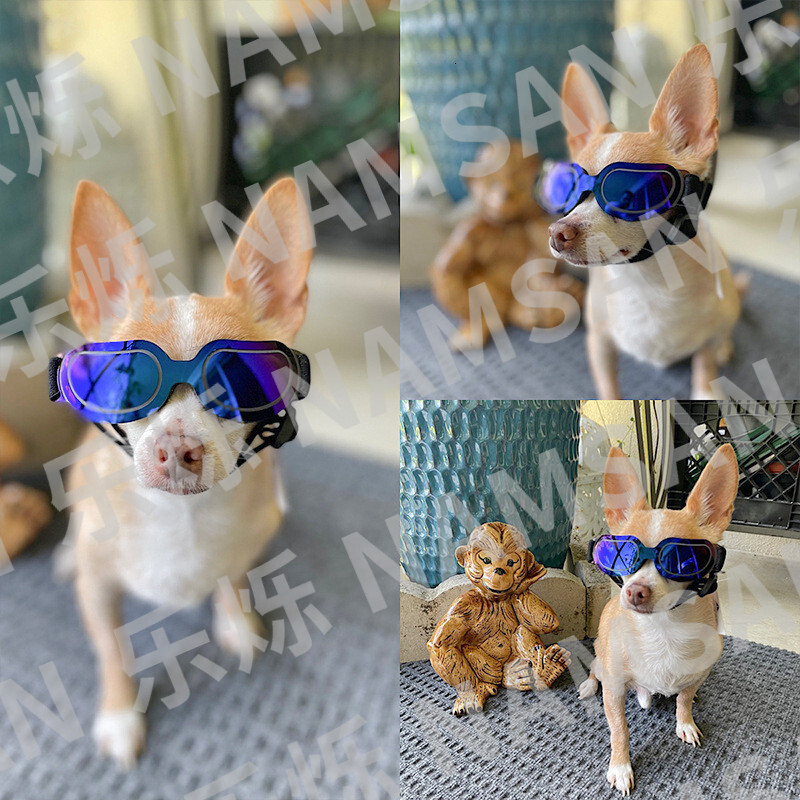 Pet UV Protection Glasses Small Dogs, Cats Colorful Sunglasses Prevent Fragmentation From Blocking Strong Winds