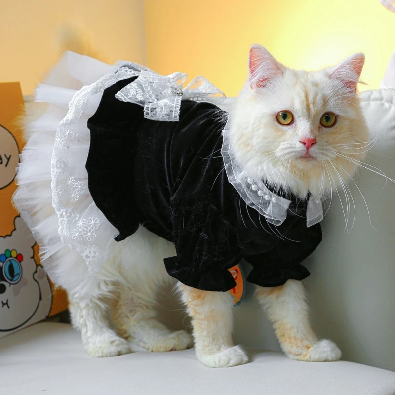 Cat Outfits for Cats Only Dog Clothes Lace Decors Dress Pet Costume Apparel Summer Clothing Accessory for Girl Drop 250326