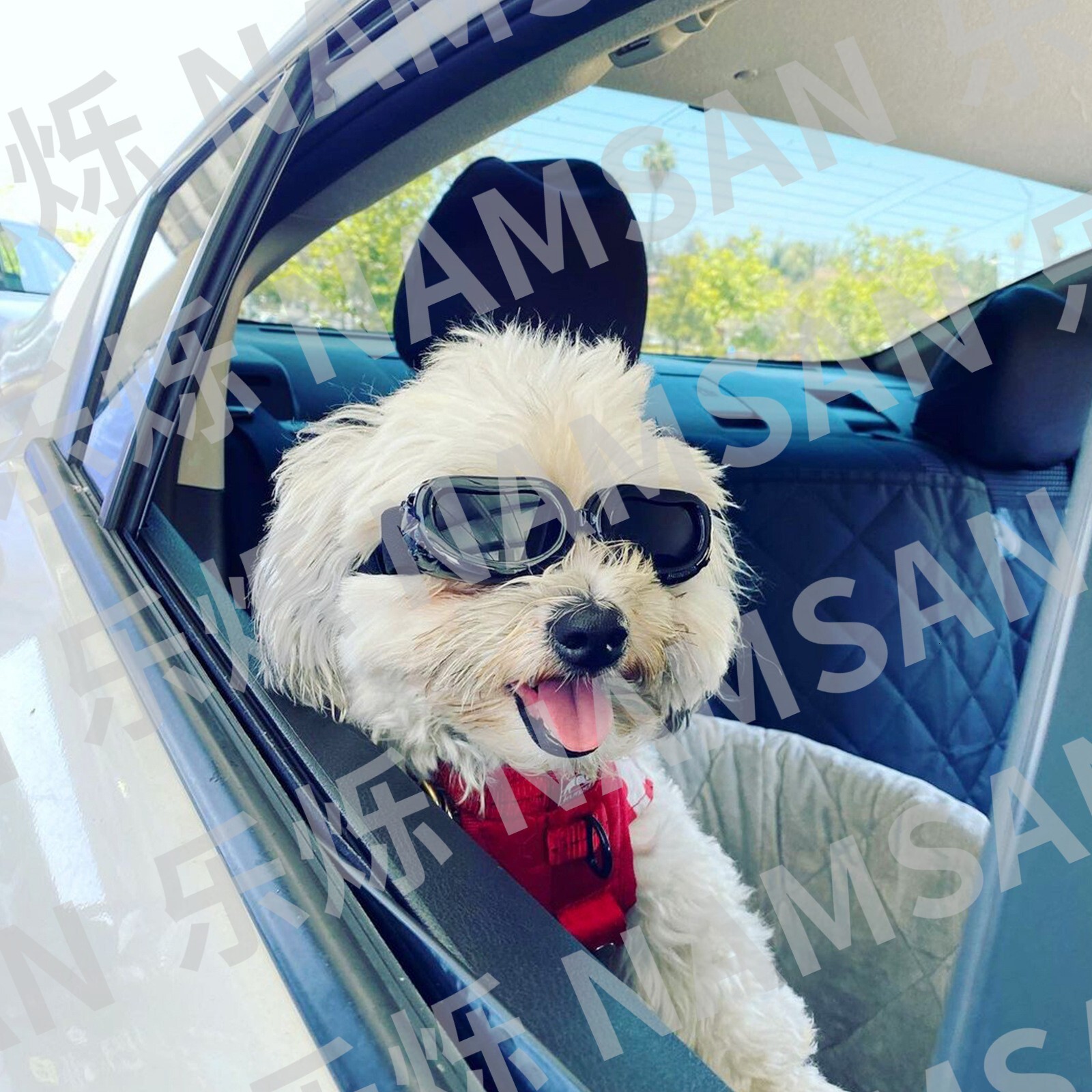 Pet Protective Glasses Elastic Strap Adjustable Fit Small Dog Cat Goggles Summer UV Protection Sunglasses