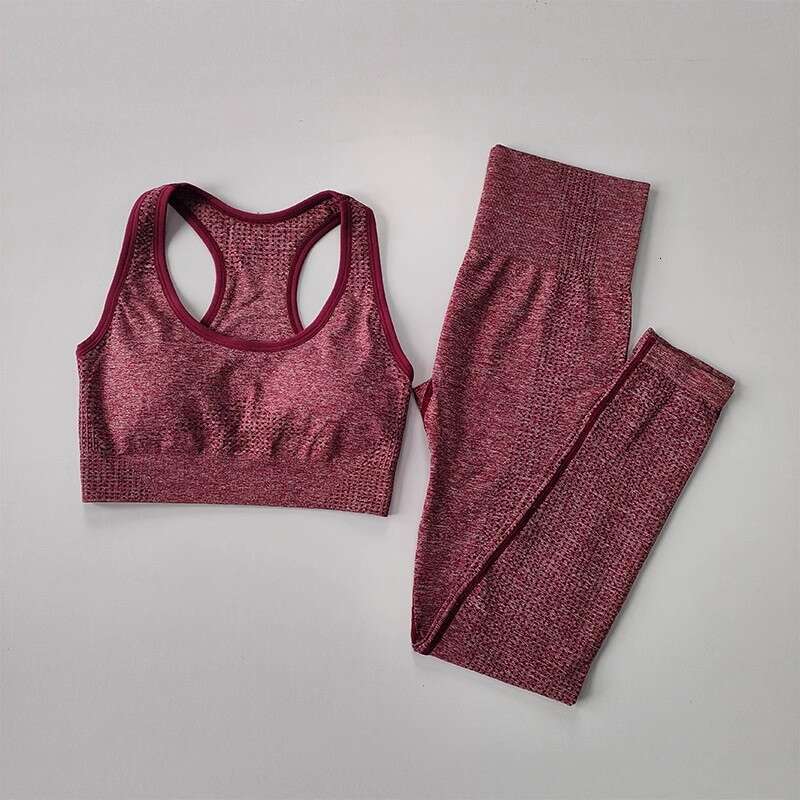 Women Yoga Pants Seamless Set For Women Two Piece Bra And Pants Quick Drying Fitness Set Yoga Suit