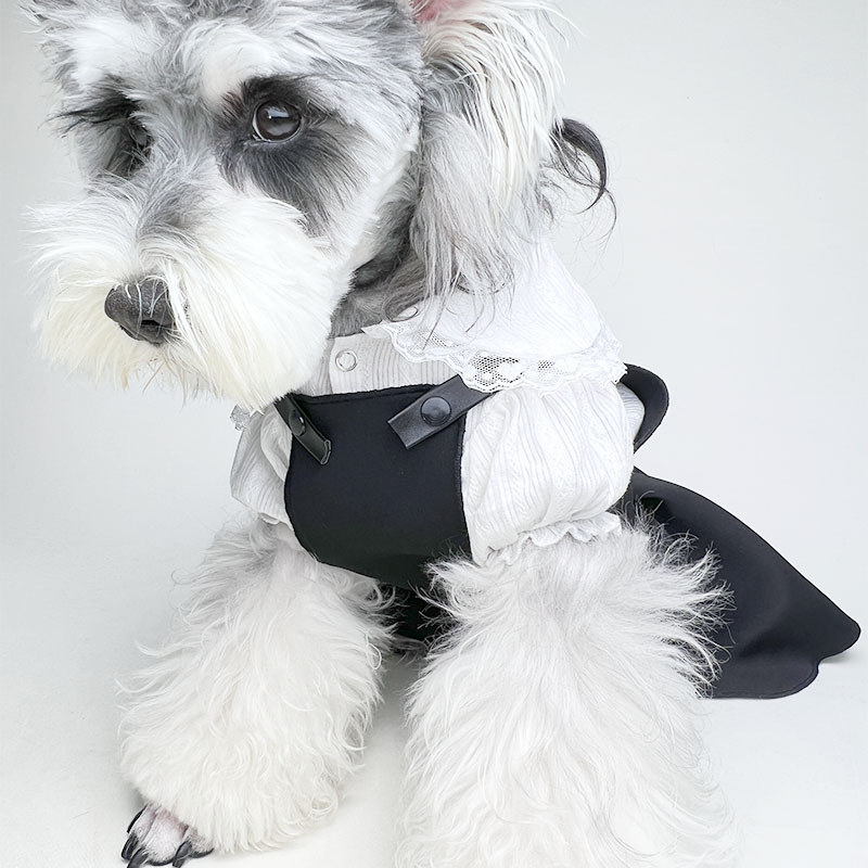 Designer Dog Costume Dress Clothes Strap pants Skirt two-piece set shoulder strap Denim skirt Lolita lace shirt Free shipping