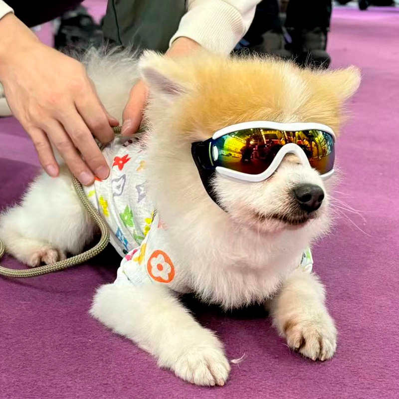 Pet Protective Glasses Original Appearance Design S/M/L-sized Dog Goggles Windproof Anti UV Skiing Sunglasses