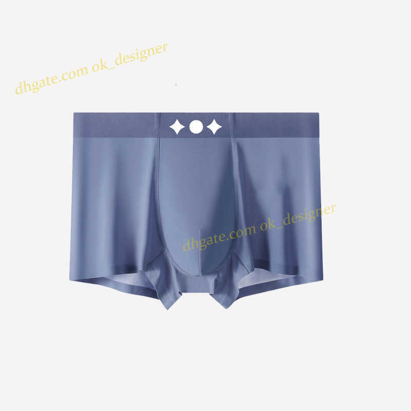 Luxury underwear mens boxers designer high quality Ice Silk underwear men Summer cool feeling breathable and comfortable boxers for men thin boxers size L-4XL 0IRT