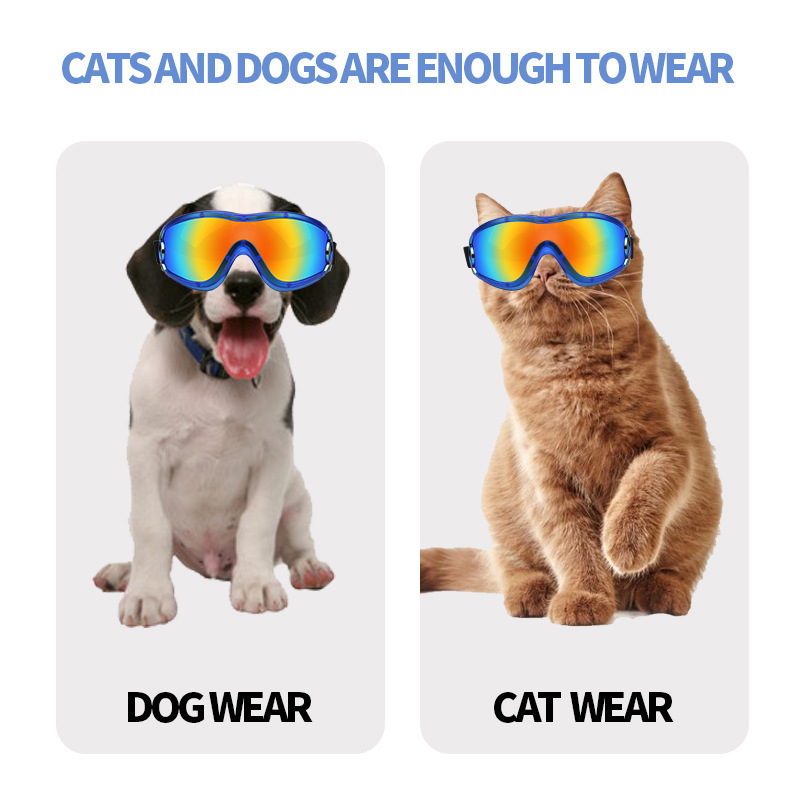 Pet Protective Glasses Original Appearance Design Medium Large Dog Goggles Anti UV Sunglasses
