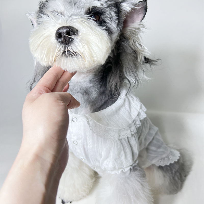 Designer Dog Costume Dress Clothes Strap pants Skirt two-piece set shoulder strap Denim skirt Lolita lace shirt Free shipping
