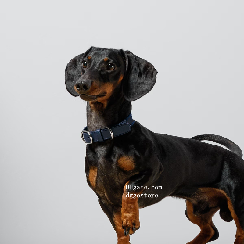free shipping Designer Dog Leash - Handmade Vegan Soft Leather and Nylon Combination Collar with Adjustable Buckle for Extra Small, Small Dogs Style G