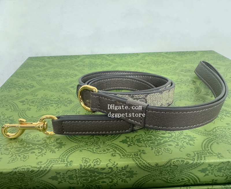 Designer Dog Collar and Leash Soft Leather Webbing Puppy Collar Stylish Gold Heavy Duty Metal Buckle for Small Dogs Cats Fashionable Dog Birthday Gift