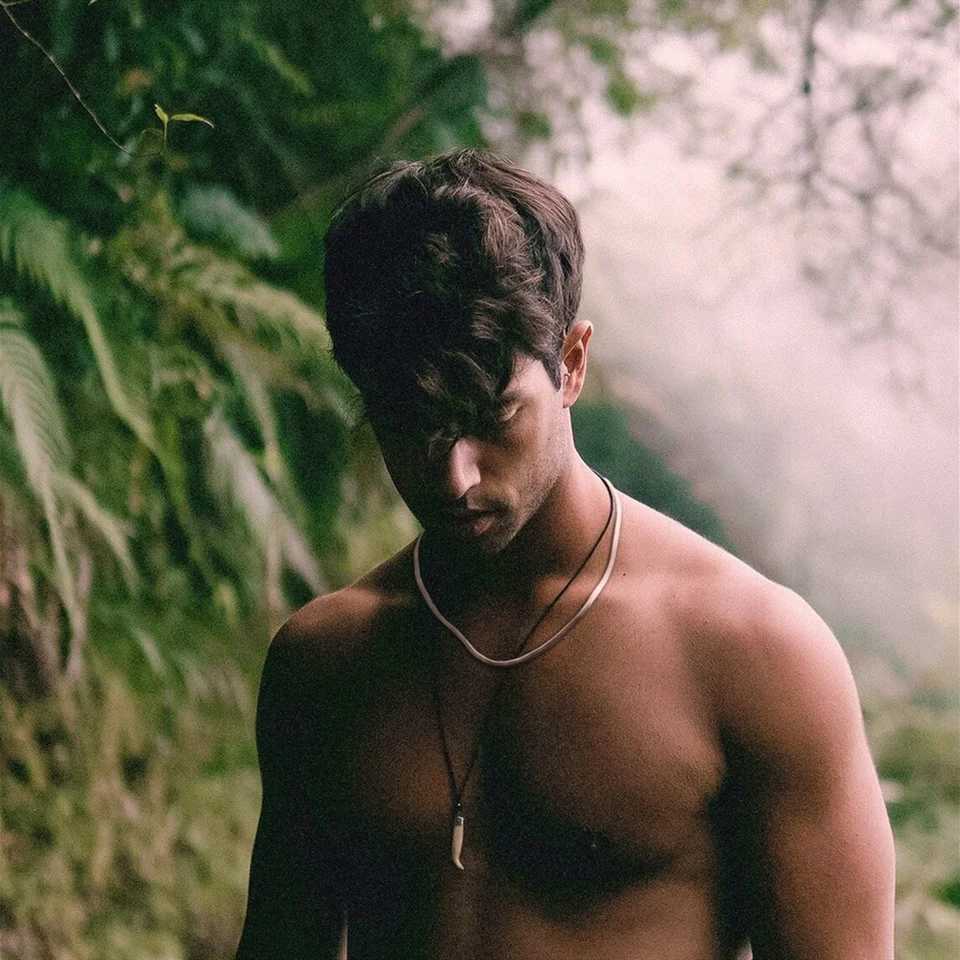 Mens Hip Hop Snake Chain Necklace New Fashion Stainless Steel Silver Necklace Jewelry Accessories Party Gifts Y250329