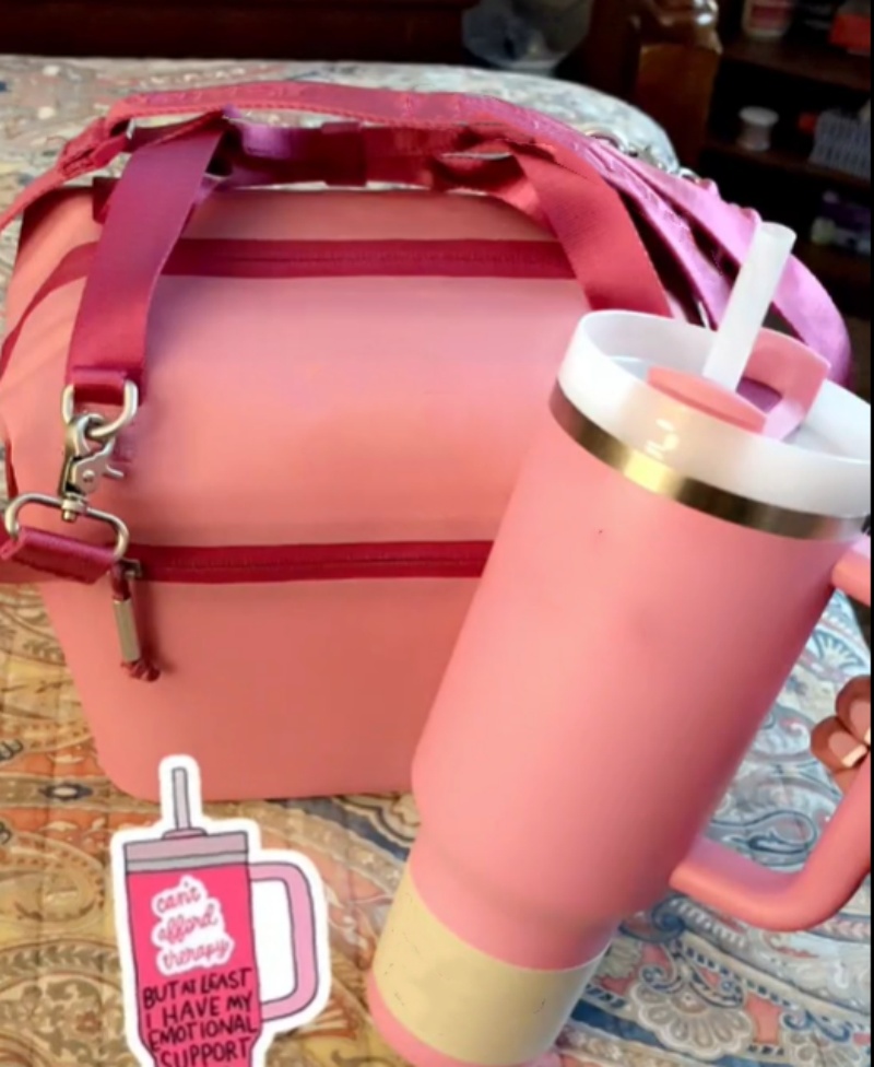 US Stock Lunch Box All Day Julienne Mini Soft Cooler Bag and Lunch Bags Boxes 10 Can Recycled Polyester Cream Black 0331