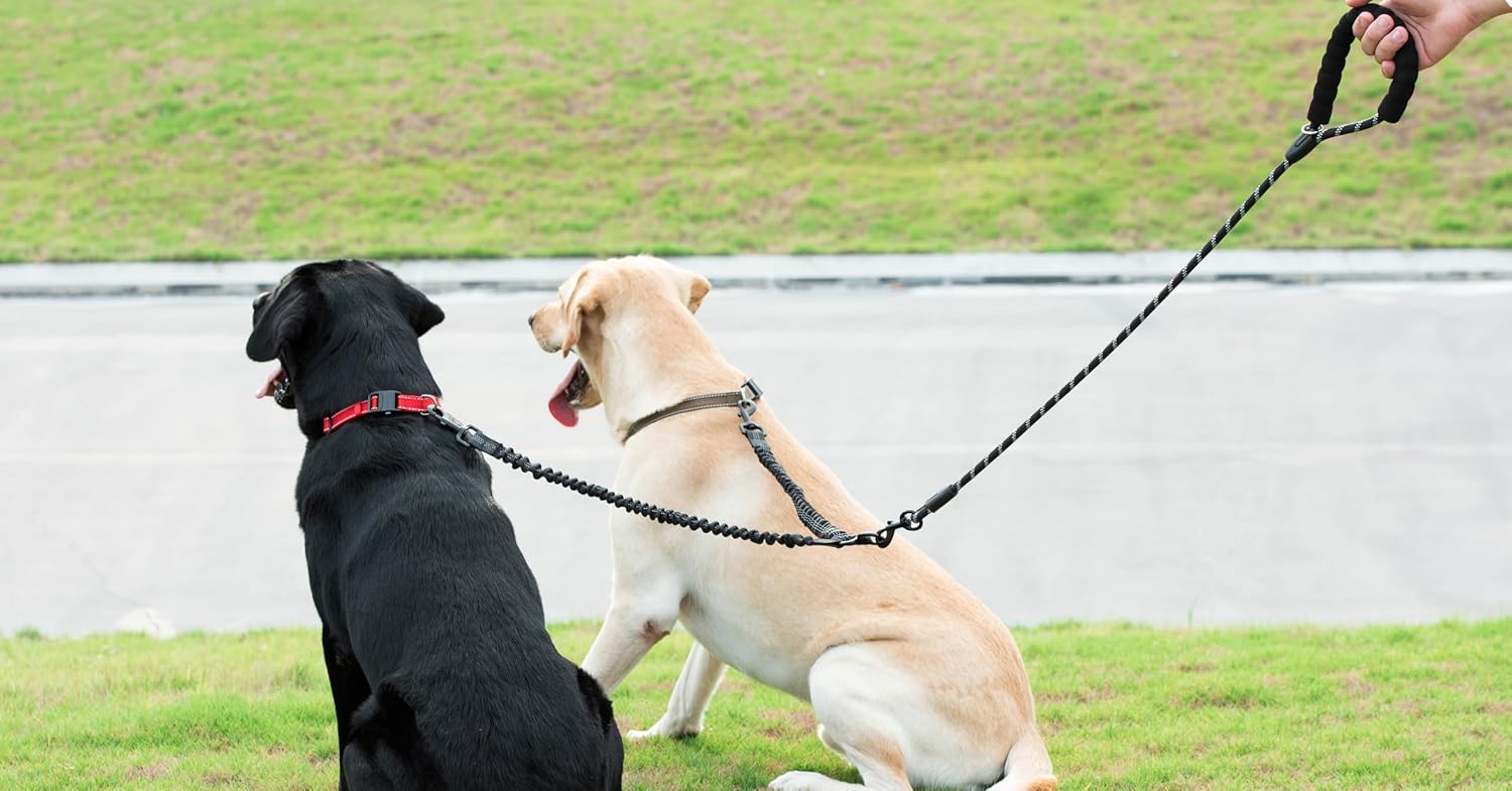 Dual Dog Leash, Double Dog Leash, 360 Swivel No Tangle Walking Leash, Shock Absorbing Bungee for Two Dogs, Medium (8-35 lbs) | Large (25-150 lbs)