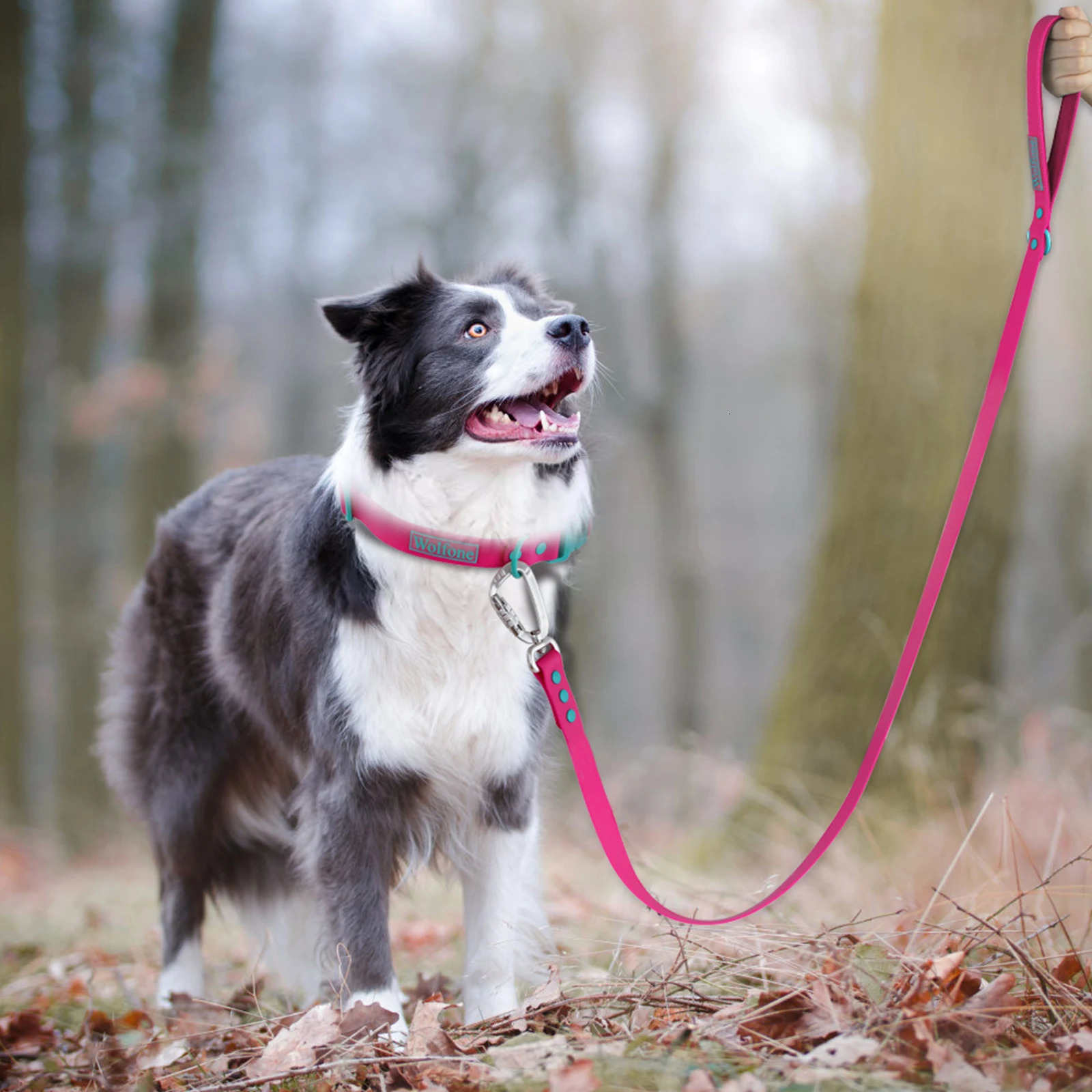 Small dog leash generation of medium-sized automatic dog hook leash 250427