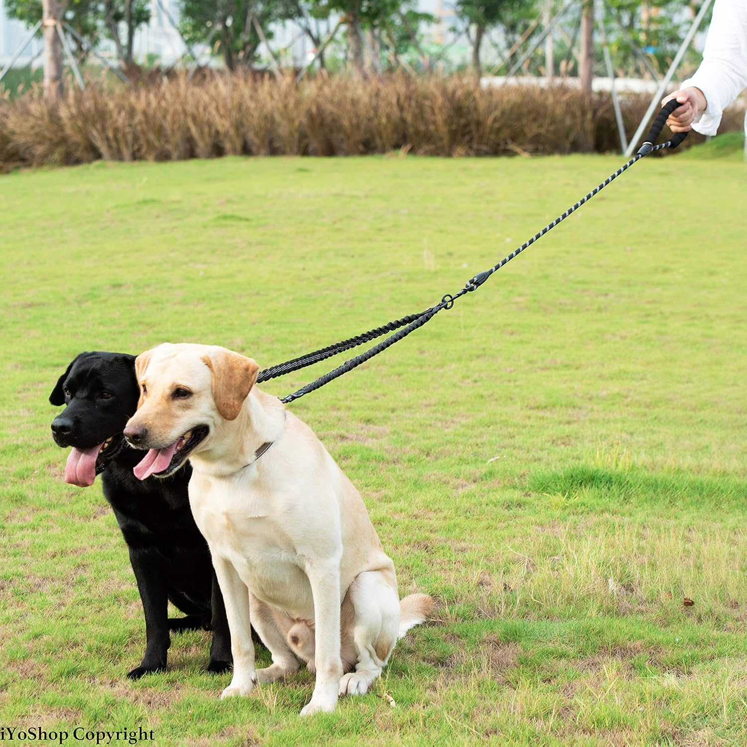 Dual Dog Leash, Double Dog Leash, 360 Swivel No Tangle Walking Leash, Shock Absorbing Bungee for Two Dogs, Medium (8-35 lbs) | Large (25-150 lbs)