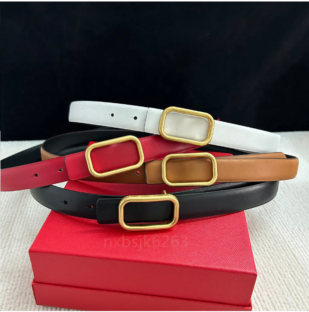 thin black gold buckle Luxurys adjustable lady belt Gift Genuine Leather dress Mens elastic designer womens belts man white Width 2.3cm woman fashion Belt a3245