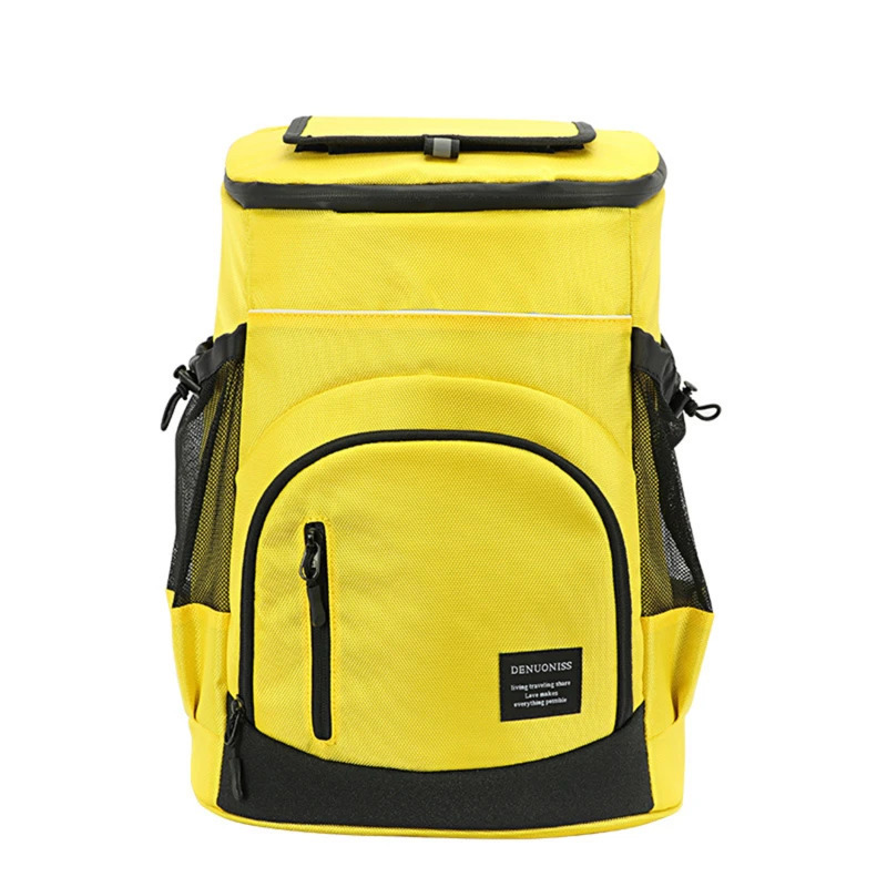 Refrigerant bag soft insulation cooler backpack thermal isothermal freezing outdoor beach ice beer backpack 30L 250427