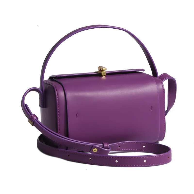 Women's New 2023 Niche Brazilian Purple Stanford Box Small Square Single Shoulder Slant Cross Bag High-End Quality