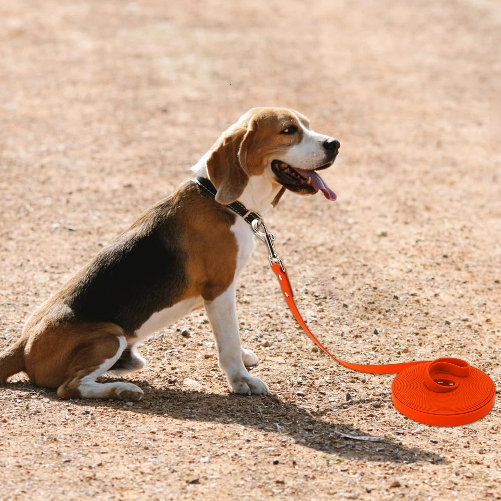 Waterproof dog collar long PVC pet collar easy to clean suitable for small medium large and large dogs walking with special lead sizes of 5m 10m and 1