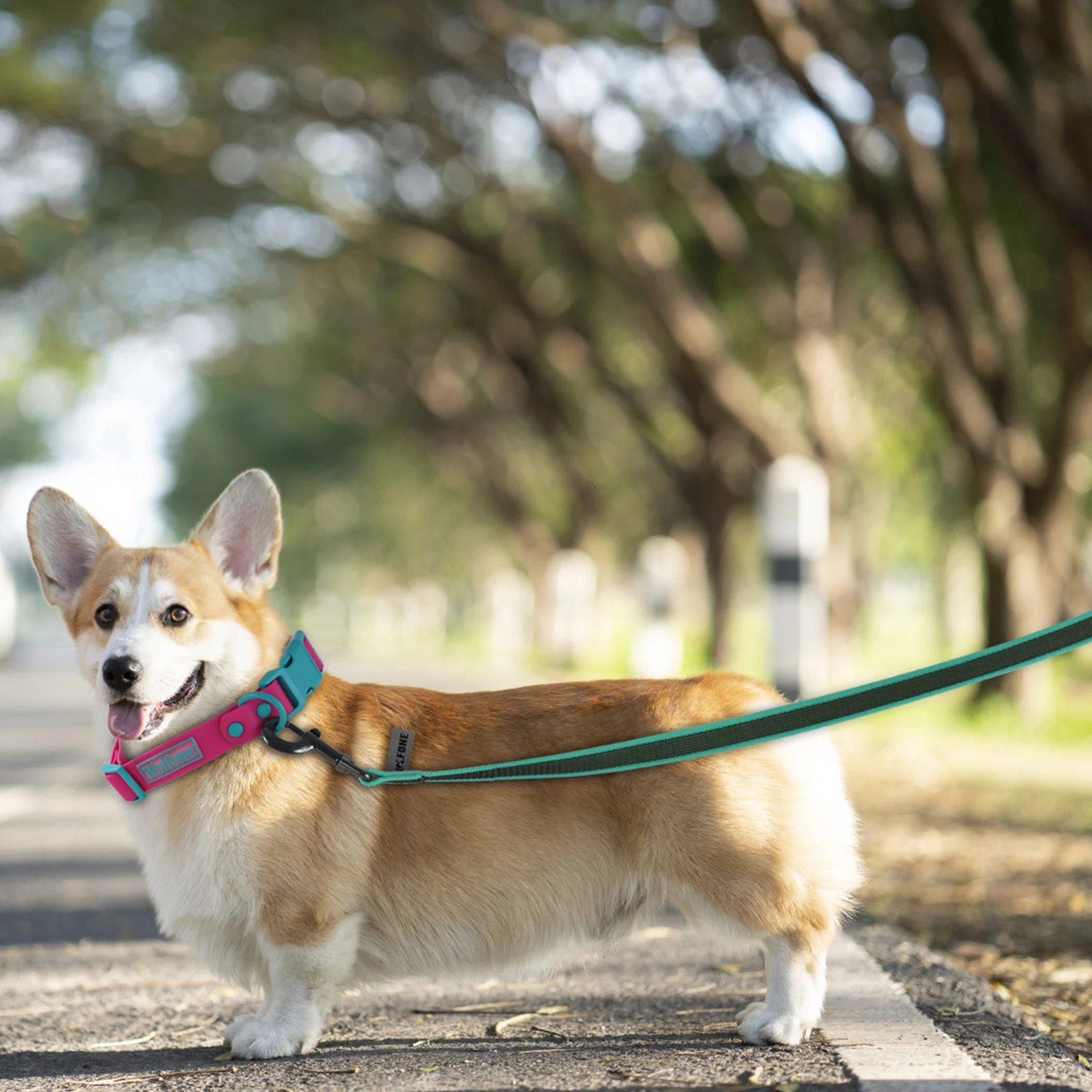 1.5M 15M Small and Medium sized Long Dog Belt 10M Latex Silk Simple and Convenient Light Training Big Dog Belt 5m 250427