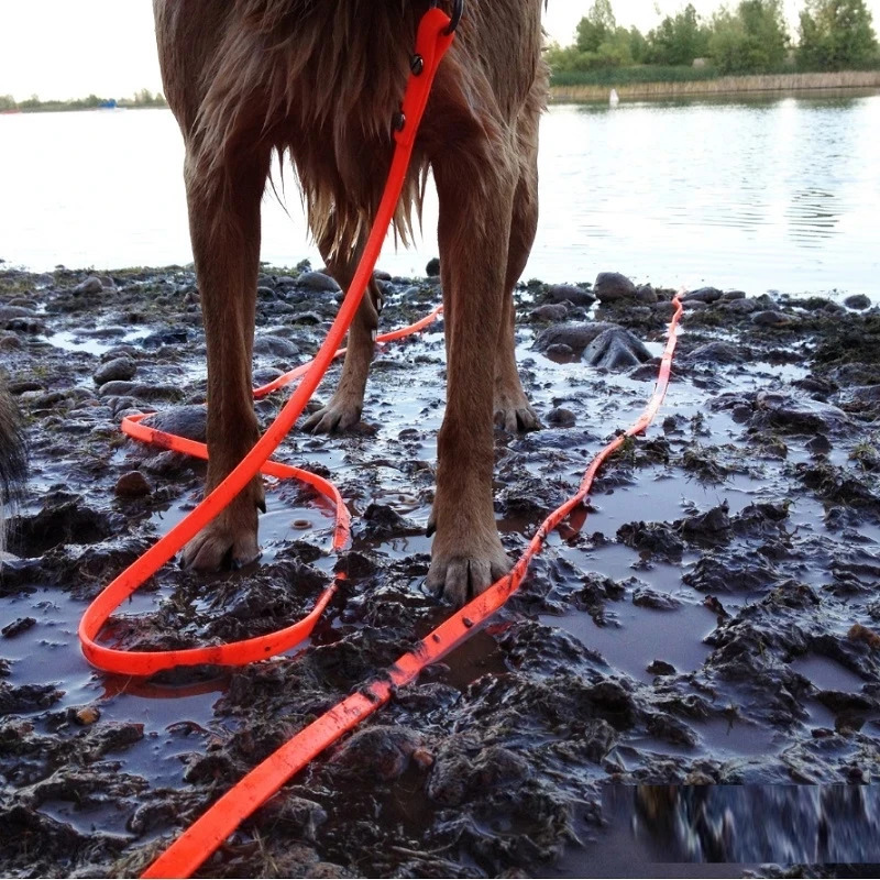 Waterproof dog collar long PVC pet collar easy to clean suitable for small medium large and large dogs walking with special lead sizes of 5m 10m and 1