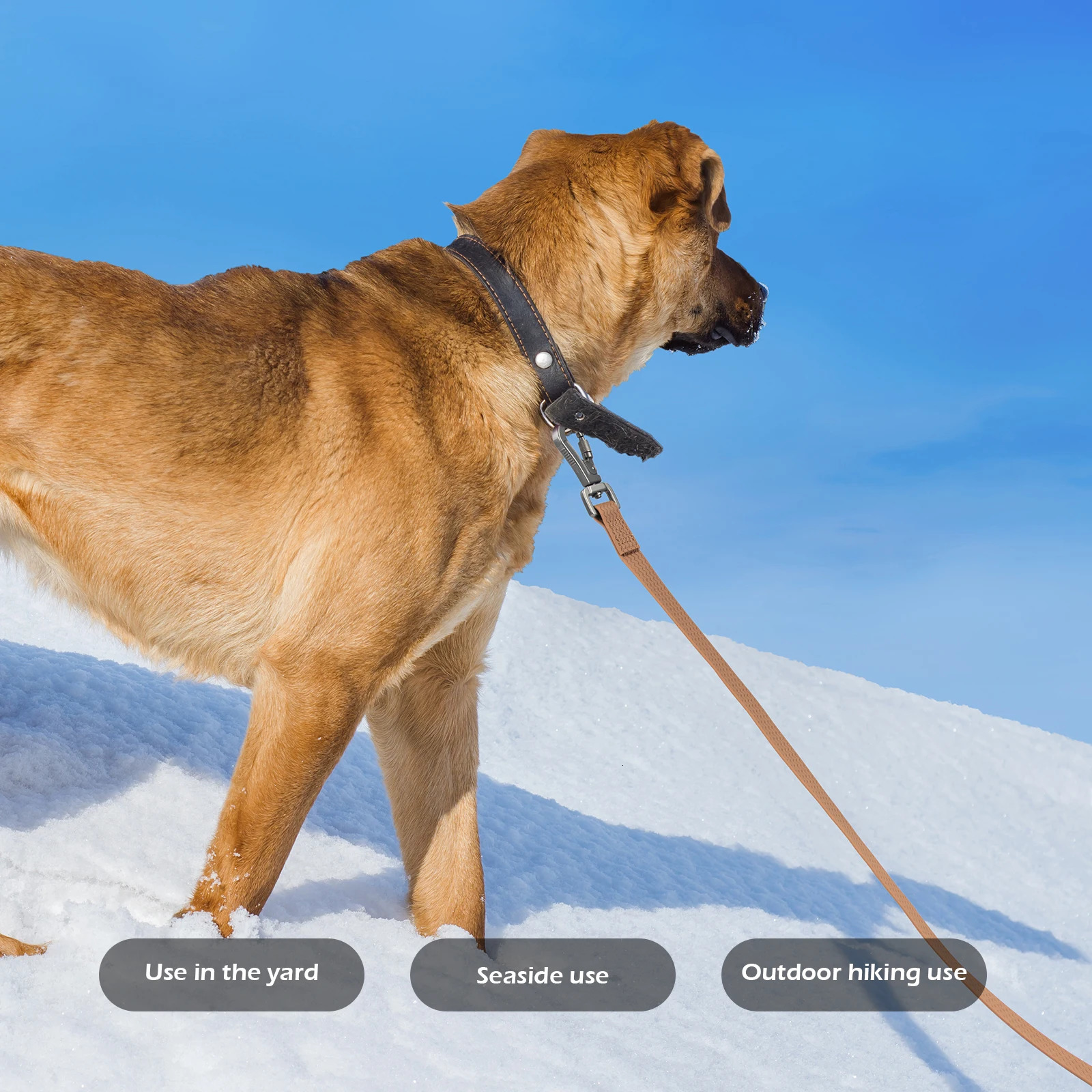 1.8M 5M 10M PVC dog collars large dog collars waterproof easy to clean and well functioning dog collar training 250427