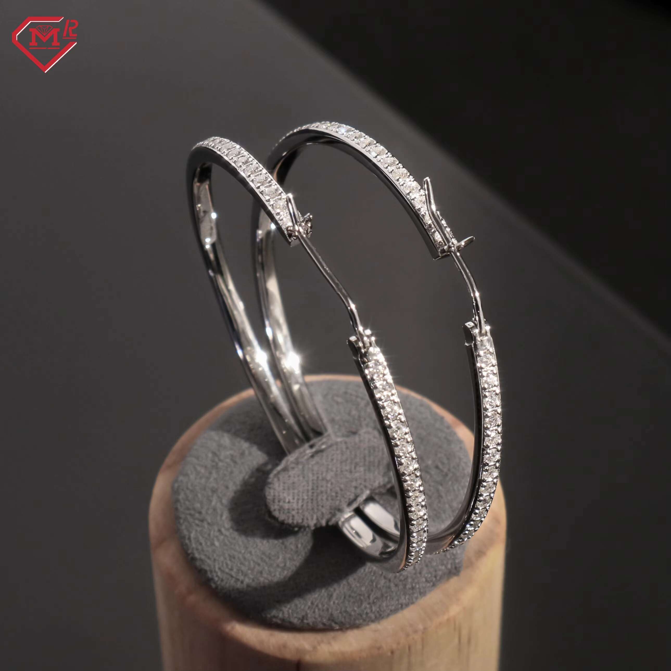 Luxury Moissanite Earrings Men Women Large Hoop Hiphop 925 Sterling Silver Moissanite Earrings