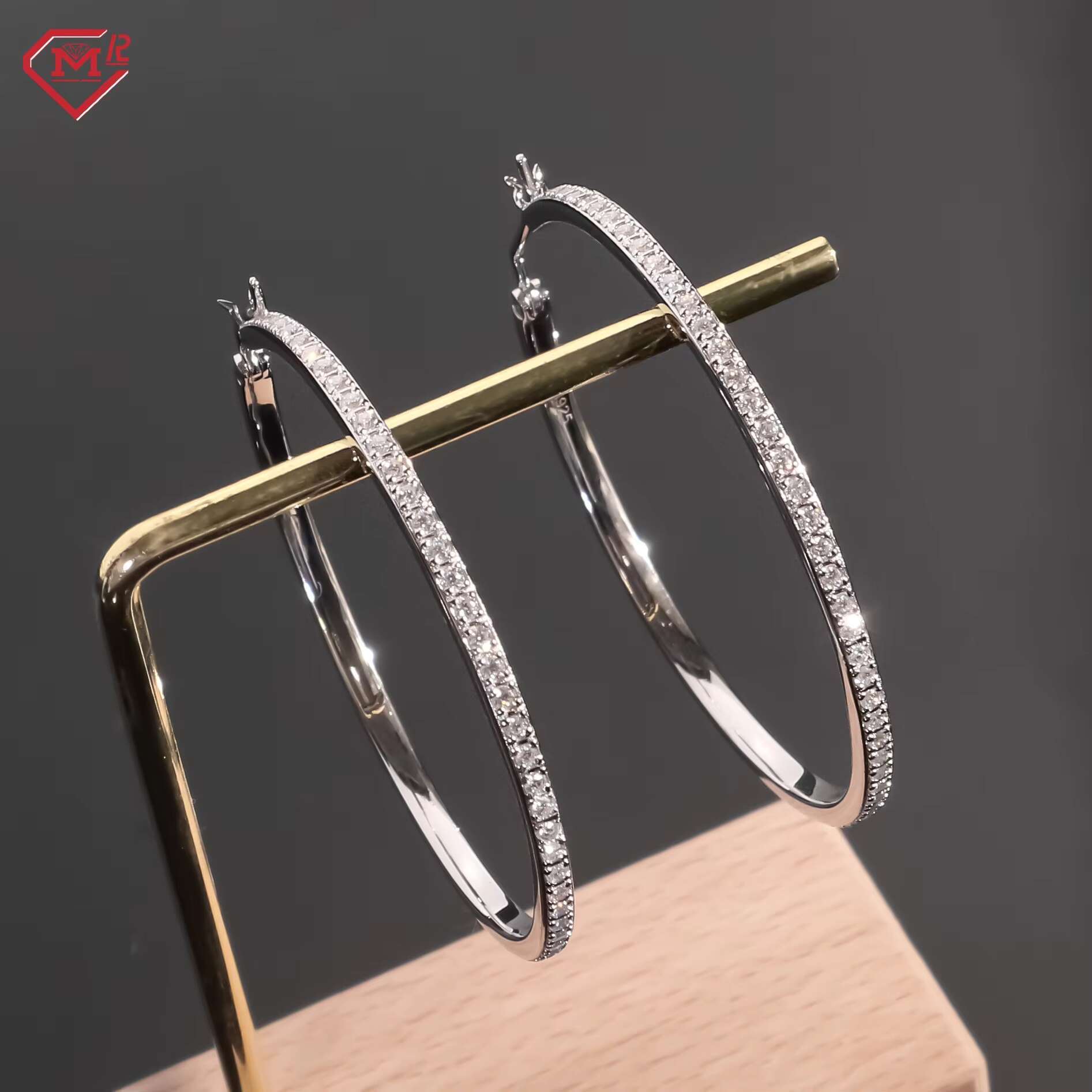 Luxury Moissanite Earrings Men Women Large Hoop Hiphop 925 Sterling Silver Moissanite Earrings