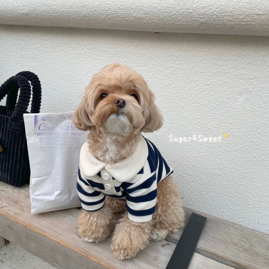 T00118 Dog clothes summer thin T-shirt pet Bichon Schnauzer Teddy Maltese small dog summer sweatshirt