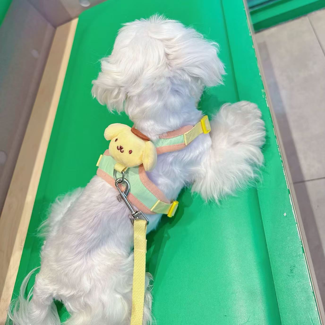 T00116Dog Clothes Spring and Autumn West Highland Bichon Teddy Schnauzer Maltese Small Dog Pet Thin Sweater