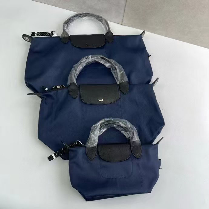 French Longchomp Bag Energy Tote Mini Handbags Dumpling Totes 3 Sizes Large Capacity Cowhide Nylon Clutch Purse Detachable Shoulder Strap Crossbody Long Bags Eaf