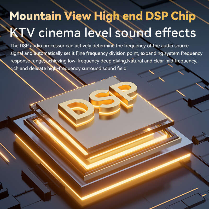 2025 KTV Bluetooth high-end high-power 300W outdoor live streaming all-in-one hine with microphone speaker