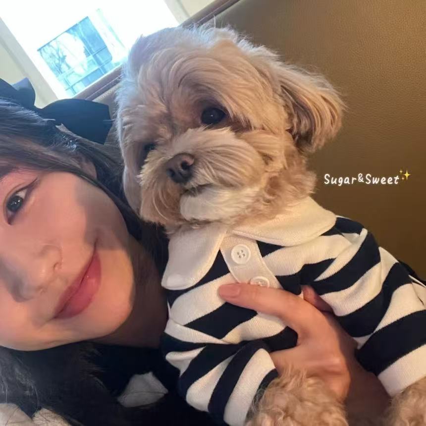 T00118 Dog clothes summer thin T-shirt pet Bichon Schnauzer Teddy Maltese small dog summer sweatshirt