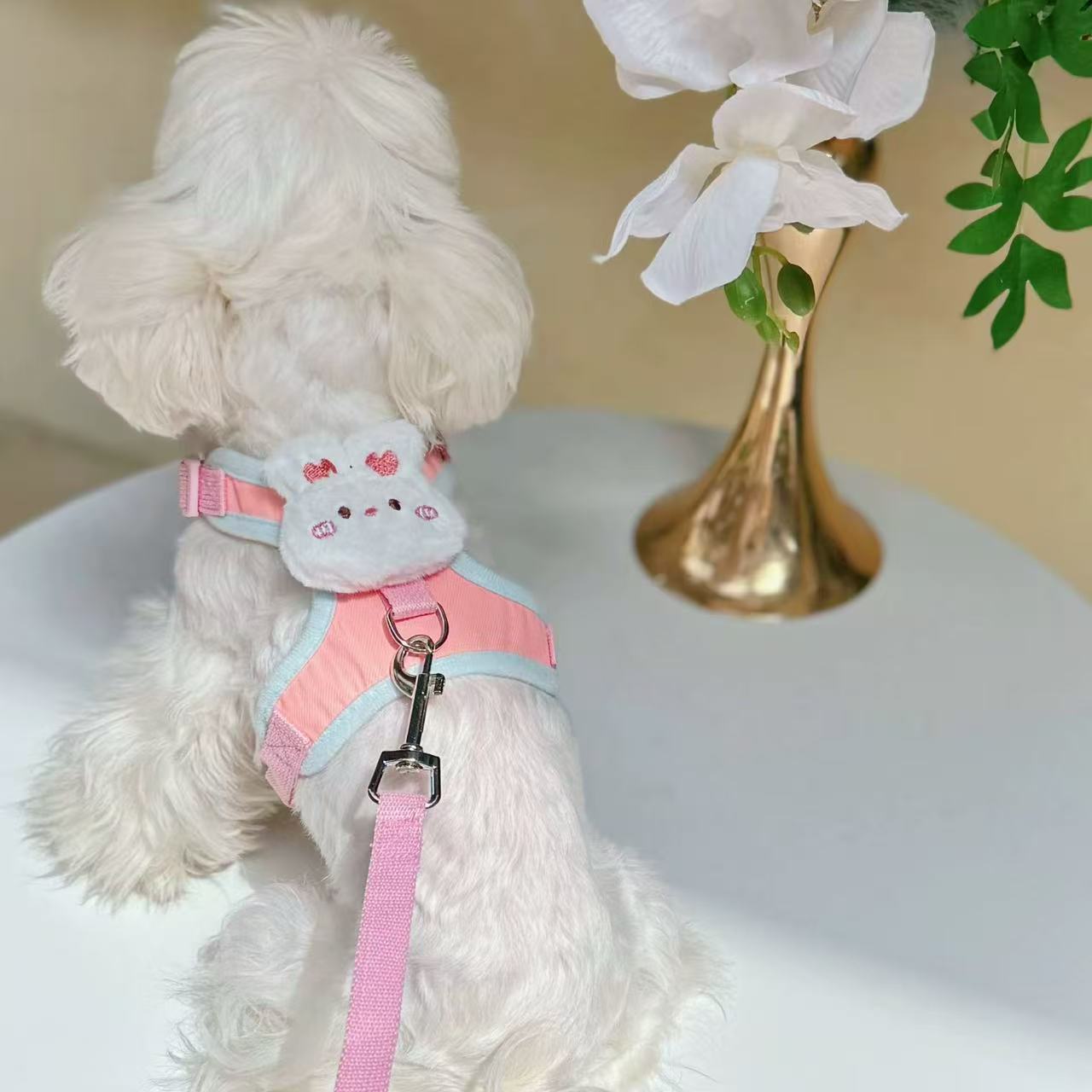 T00116Dog Clothes Spring and Autumn West Highland Bichon Teddy Schnauzer Maltese Small Dog Pet Thin Sweater