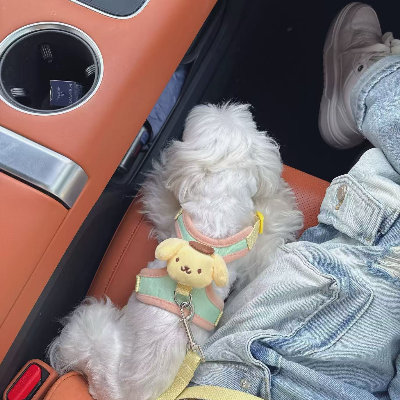 T00116Dog Clothes Spring and Autumn West Highland Bichon Teddy Schnauzer Maltese Small Dog Pet Thin Sweater