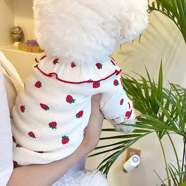 T00131Fashionable Miniature Canine Apparel Snuggly Designs Featuring Strawberries, Pandas, Cats