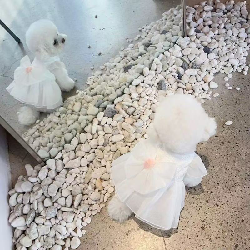 T00128 Pet yarn skirt Teddy Pomeranian Bichon Poodle Schnauzer small dog cat dog clothes summer thin