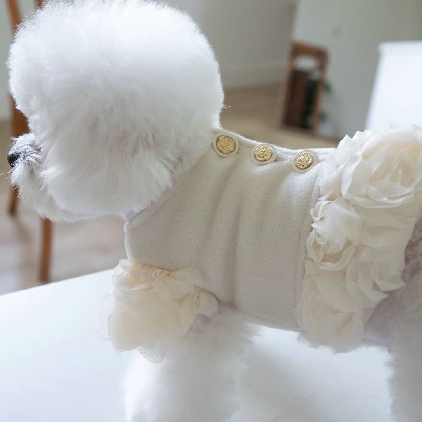 T00122New Korean version of the autumn and winter pet rose wool coat princess style dog warm cardigan Bichon short coat