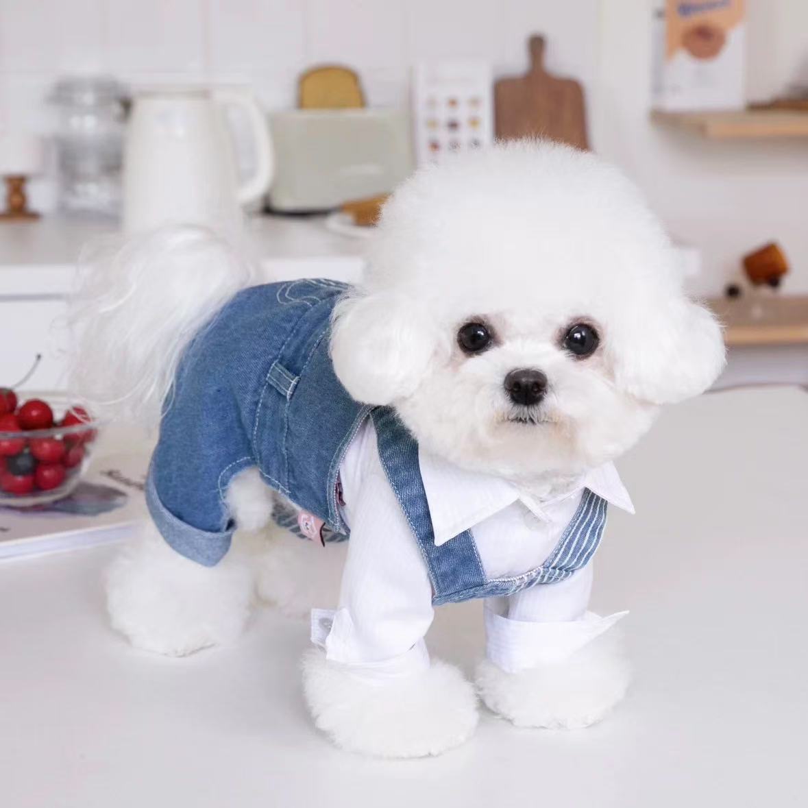 T00125 Autumn and winter dog suspenders stitching jeans overalls four-legged pants easy to put on and take off buckle Velcro Bichon Schnauzer