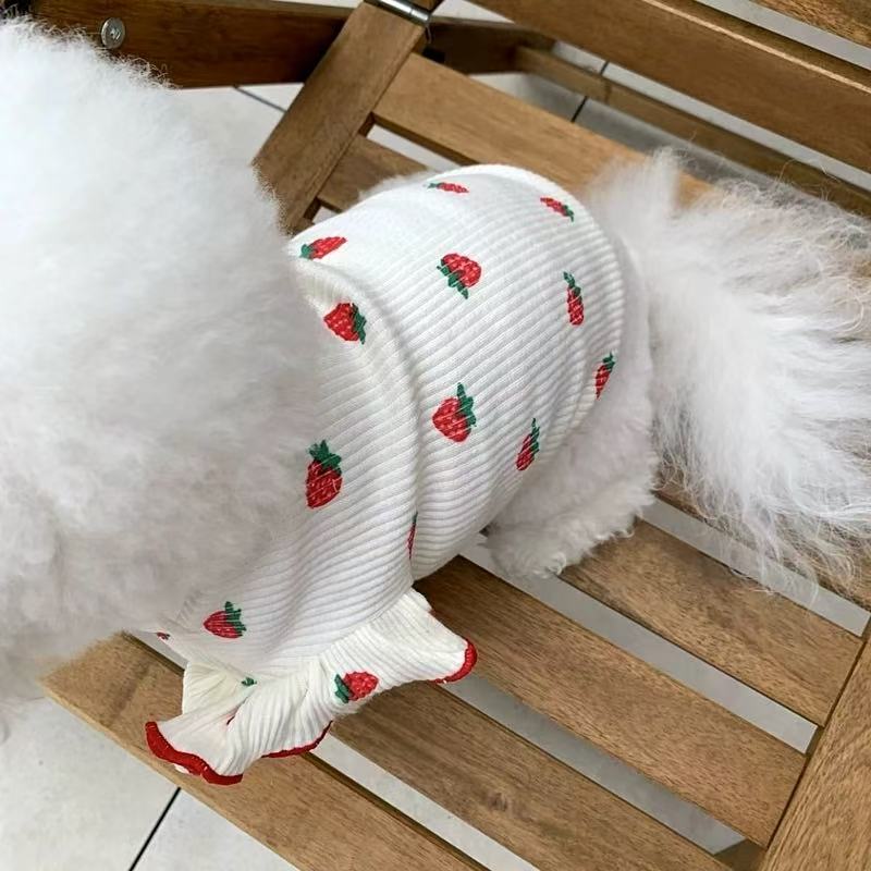 T00131Fashionable Miniature Canine Apparel Snuggly Designs Featuring Strawberries, Pandas, Cats