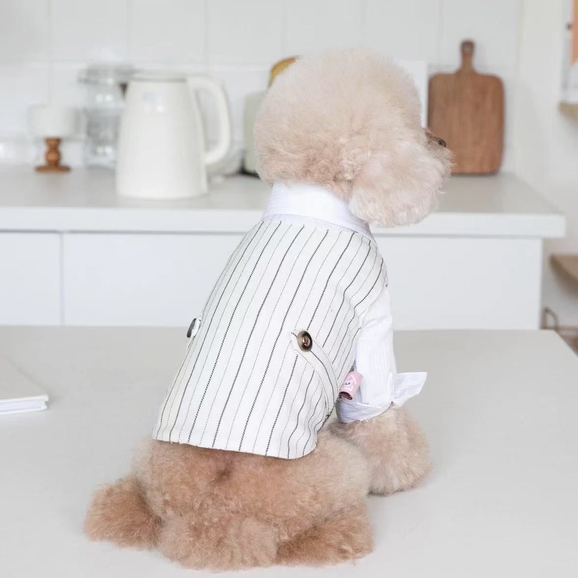 T00123 Autumn and winter pet British style vest wedding male dog dress striped coat cardigan dog outerwear suit Teddy Bichon