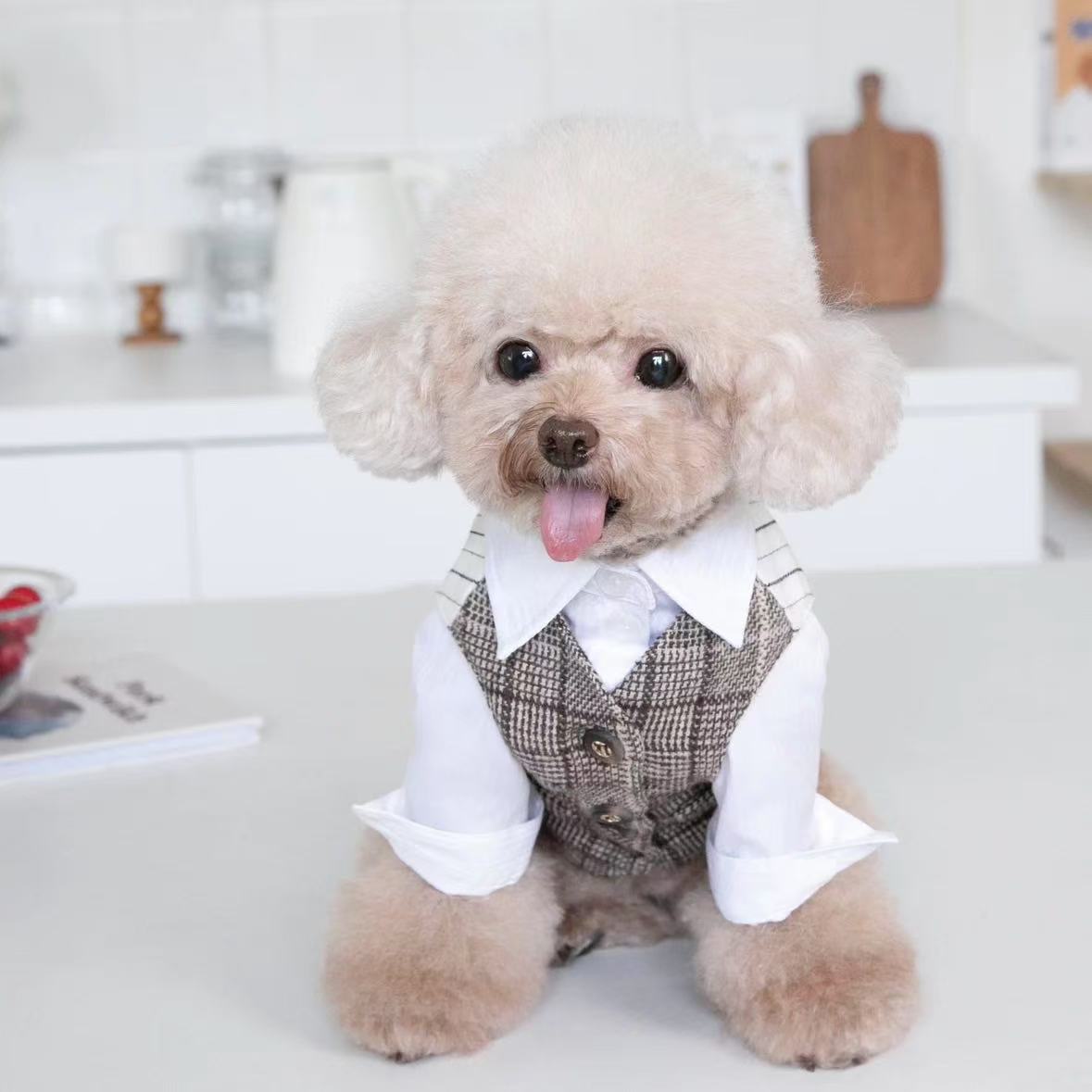 T00123 Autumn and winter pet British style vest wedding male dog dress striped coat cardigan dog outerwear suit Teddy Bichon