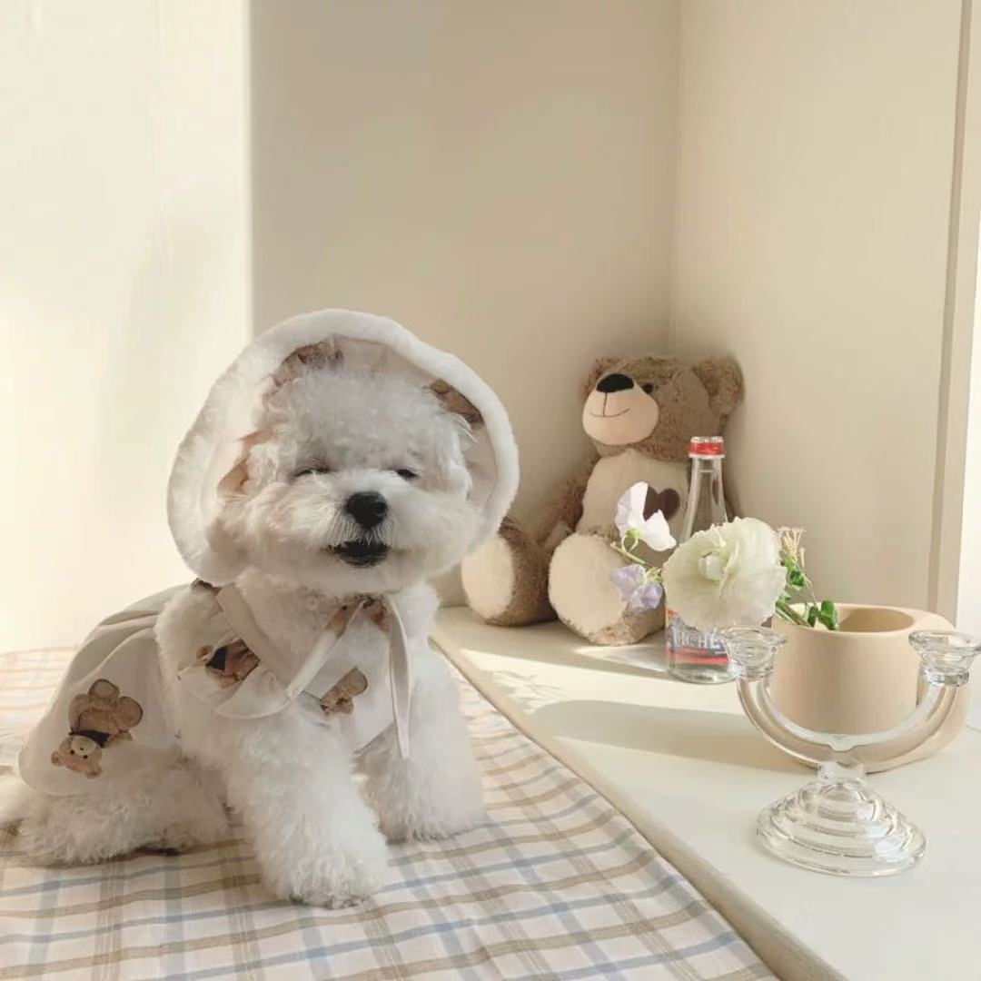T00126 Korean Spring Cute Bear Suspender Skirt Bichon Teddy Dog Skirt Pet Dog Clothes