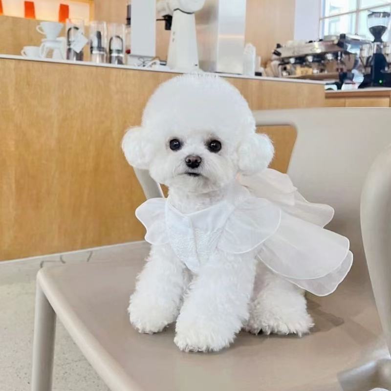 T00128 Pet yarn skirt Teddy Pomeranian Bichon Poodle Schnauzer small dog cat dog clothes summer thin