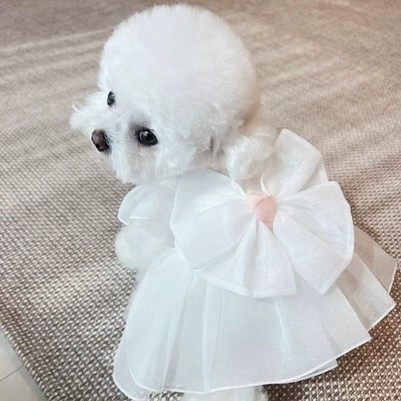 T00128 Pet yarn skirt Teddy Pomeranian Bichon Poodle Schnauzer small dog cat dog clothes summer thin
