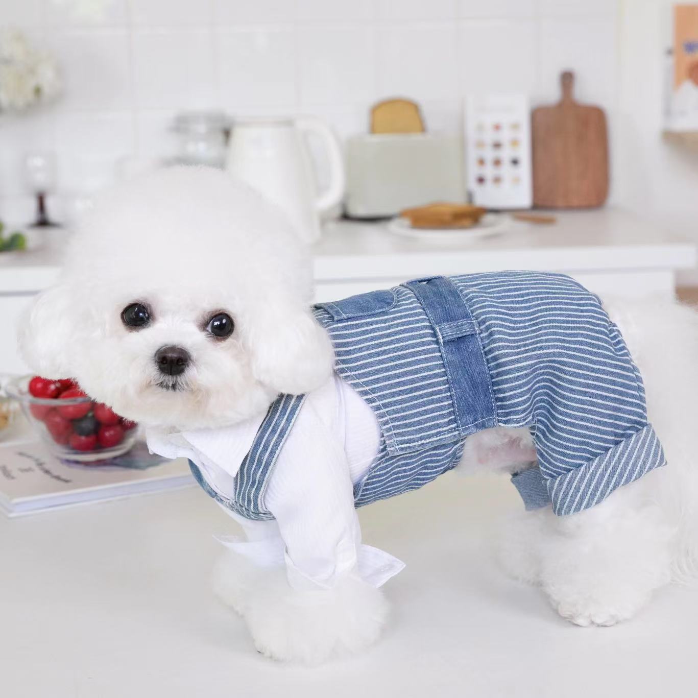 T00125 Autumn and winter dog suspenders stitching jeans overalls four-legged pants easy to put on and take off buckle Velcro Bichon Schnauzer